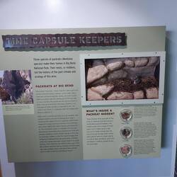 In der Ausstellung, wie Sie anhand eines Nestes den Verlauf von Jahrzehnten bestimmen.