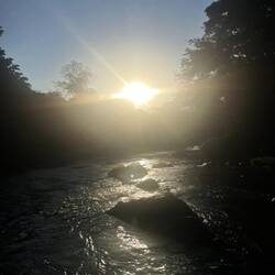 Der Blick von "unter" den Hängebrücke