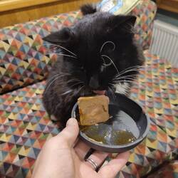 A special birthday tea