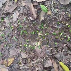 Überall sieht man eine schmale grüne Arbeiterstraße