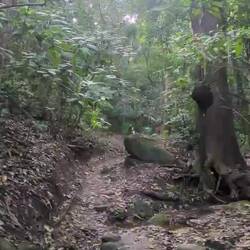 Irgendwo im Nirgendwo