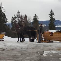 Ah, si ma chérie était là j'aurais fait un tour 🥰