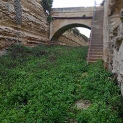 Fort Delimara, in the ditch