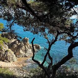 ... und laufen den schönen Wanderweg entlang der Steilküste, genießen ...