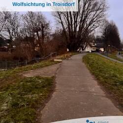 Marc hat noch eine Überraschung dabei, der erste Wolf auf dem TROPFAD!🙆