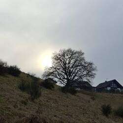 Die Sonne gibt sich alle Mühe, aber.....