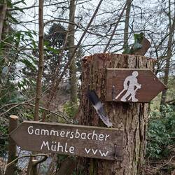 Aber bald sind wir an der Gammersbacher Mühle....