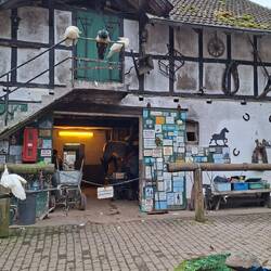 ...im Pfauenland....