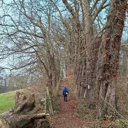 ....und dann schön bergauf.