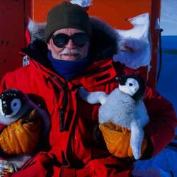 Taking emperor penguin chicks to be sampled — from Gary's IBD presentation.