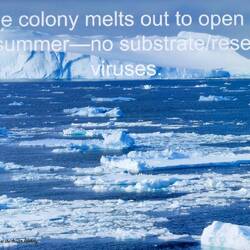 From Gary's presentation about his research into IBD.