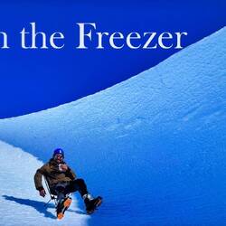 Tennessee looks awfully comfortable on the glacier — from the Life in the Freezer presentation.