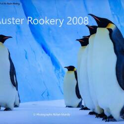 From Gary's presentation about his research into IBD.