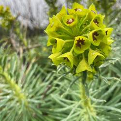 ..am nächsten Tag fahren wir weiter bei herrlichem Sonnenschein ☀️