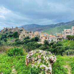 🫠 wer mit Ruhe nicht umgehen kann ist hier völlig falsch 🤣