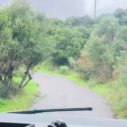 Erich ist immer voll entschlossen 😆