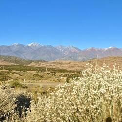 Am Morgen. Der Aconcagua ist besänftigt und lädt uns ein 😊