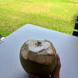 Vers kokosnootdrankje erbij...