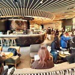 Das neue Starbucks