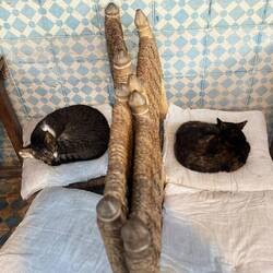 Schön getrennt, so wie Katzen es mögen 😊