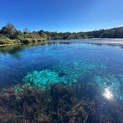 Die "Pupu"-Spings mit ihrem glasklaren Wasser
