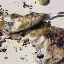 Die waren so lieb und haben auch reichlich bekommen 💫❤️