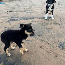 Die kleinen Süßzwerge 🥰