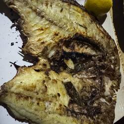 Davon hatte ich 2 Fische