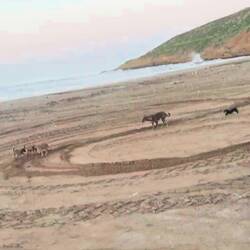 Direkt am nächsten Morgen dann...🥰