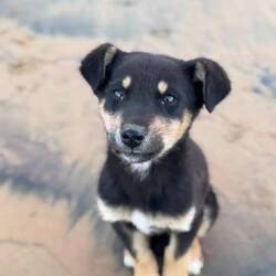 Den hätte ich am Liebsten eingepackt 🤗