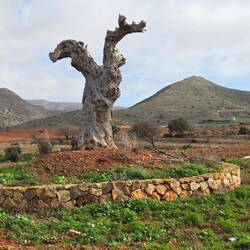 Gleich fliegt los 🤭