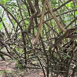 Little cabins on the island