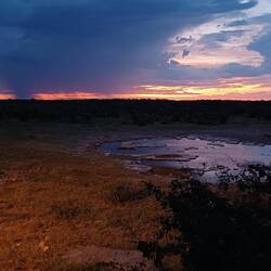 und am Abend eine Überraschung am nahen Wasserloch ...