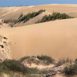 Die Ausläufer der Rub al-Chali