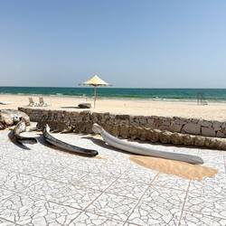 Das ist das Skelett eines Wales, das eines Tages am Strand angespült wurde
