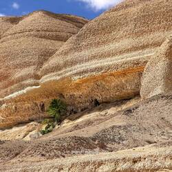 Nur ein wenig Feuchtigkeit reicht, schon kann Grünes wachsen