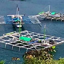 Some typical modified fishing boats