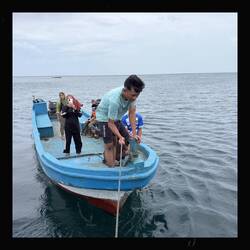 Antics with Waihyu and pals