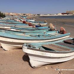 Fischerort Al Ashkara