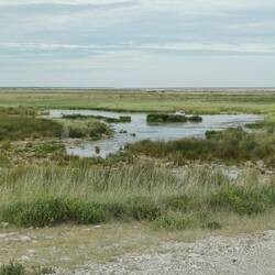 ein schönes Wasserloch, doch leider keine Tiere hier