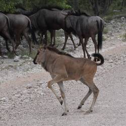 ... auf und davon ...