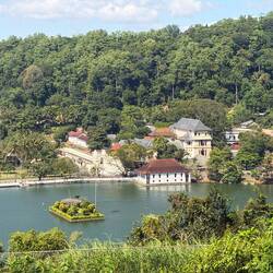 Zahntempel Mandy von oben