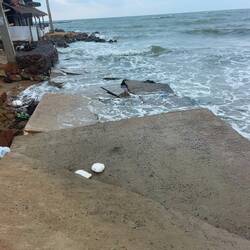 Used to be road to our place