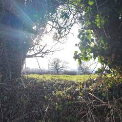 Mr Whiskers was very happy to moor next to a hedge and farmland. It was good for birdwatching too.