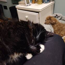 Much deserved rest after an afternoon's cruising