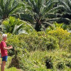 2 Beobachter 😀😎🐃