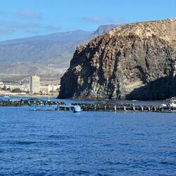 Doraden-Netze vor Los Christianos