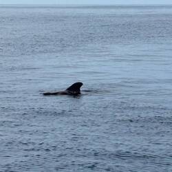 Und da sind sie! 🩷🩷🩷