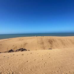 Die fahren einfach mit dem Snowboard die Düne runter 😜😂