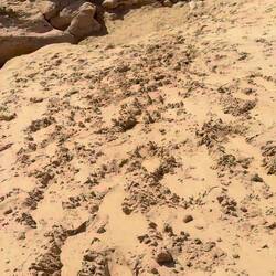 Erstmal muss man vom Canyon rauf auf die Dünen!